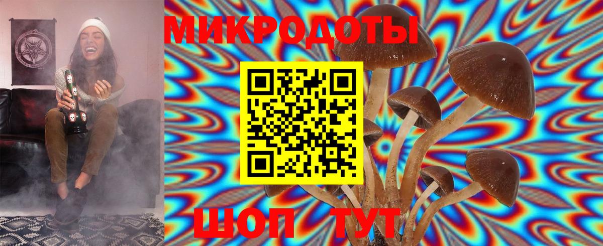 Галлюциногенные грибы GOLDEN TEACHER Нововоронеж