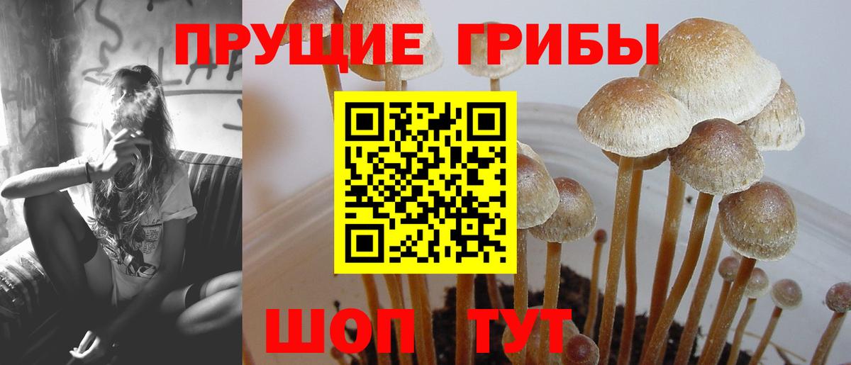 Псилоцибиновые грибы GOLDEN TEACHER  Вход с VPN  Галлюциногенные грибы ЛСД  Нововоронеж 